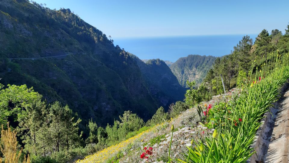 Madeira: Nun's Valley Private Tour - Ribeira dos Socorrido Stream: A Break From the Cliffs