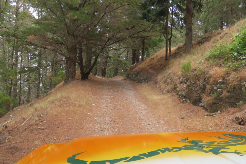 Madeira : Nun's Valleys and Pico Areeiro 4X4 Tour - Getting Your Money’s Worth: Is $49 for a 4-Hour 4X4 Fair?