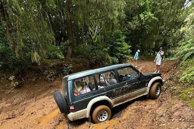 Madeira Off-Road 4x4 Jeep Adventure Private Full day Tour - Why a Private 4x4 in Madeira Beats the Usual Sightseeing Loop