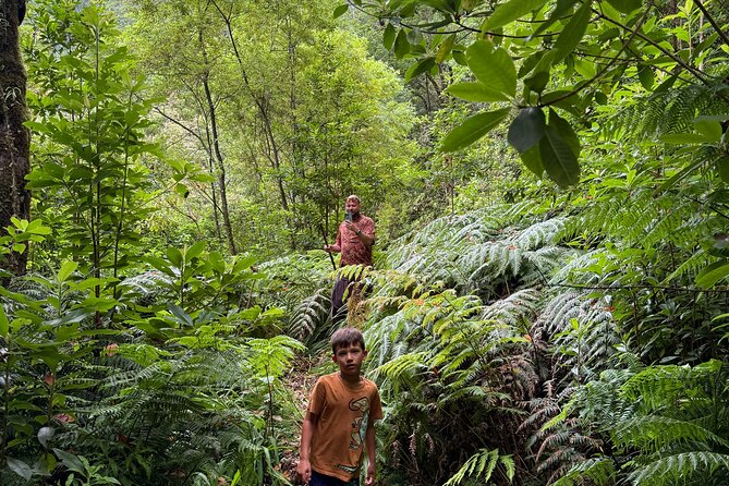 Madeira Off-Road 4x4 Jeep Adventure Private Full day Tour - Inside the Ride: Jungle Roads, Bridges, and That Real Jeep Feeling