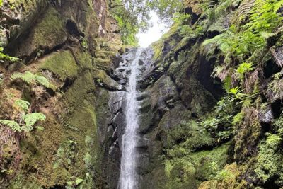Madeira Off-Road 4x4 Jeep Adventure Private Full day Tour - Funchal Pickup: How Your Day Starts Without Hassle