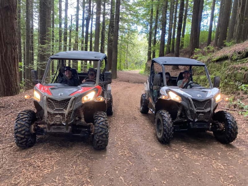 Madeira: Off-Road Buggy Driving Experience - How the Double Buggy Works (and Why It Doesn’t Feel Too Risky)
