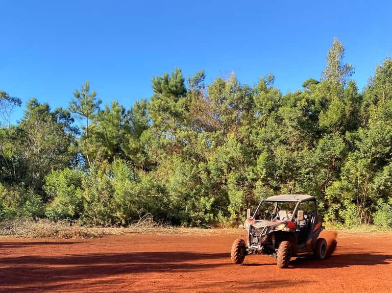 Madeira: Off-Road Buggy Driving Experience - Stops That Matter: High Viewpoints, Forest Calm, and Getting Muddy