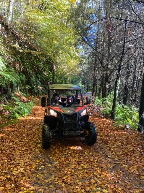 Madeira: Off-Road Buggy Driving Experience - Meeting Point in Madeira: Know Where You’re Going