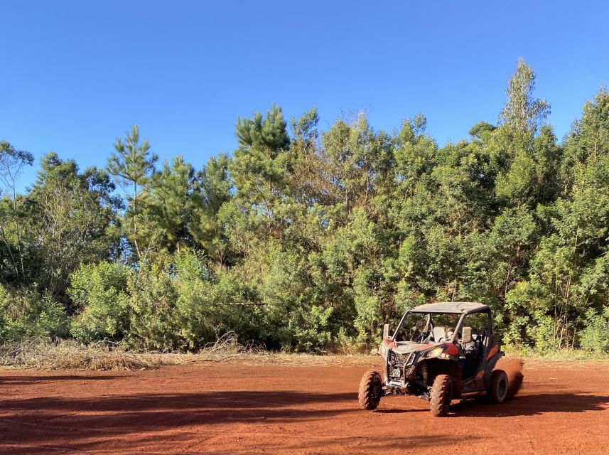 Madeira: Off-Road Buggy Driving Experience - What’s Included (and What You Should Bring)