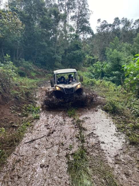 Madeira: Off-Road Buggy Driving Experience - Price and Value: Is $171 Worth Two Hours of Off-Road Fun?