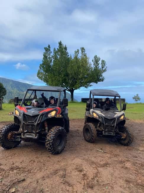 Madeira: Off-Road Buggy Driving Experience - Entering the Laurisilva: Cool Shade, Quiet Trails, Better Photos