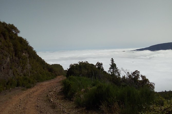 Madeira Off-Road Tours - Guides, vehicle size, and why it feels personal