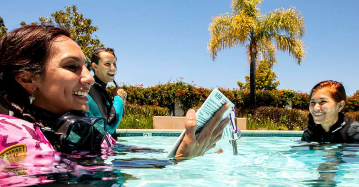 Madeira: Open Water Diver First Certification Course - Madeira makes a smart training base for first certification