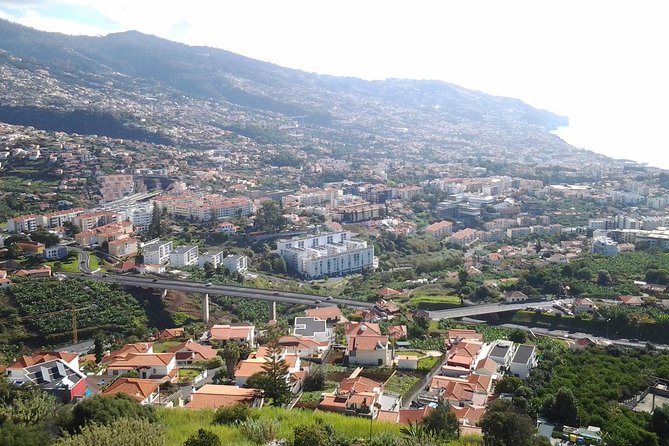 Madeira Pack 1 - Santana + Porto Moniz+ Curral das Freiras - Guide, group size, and timing: what the day feels like