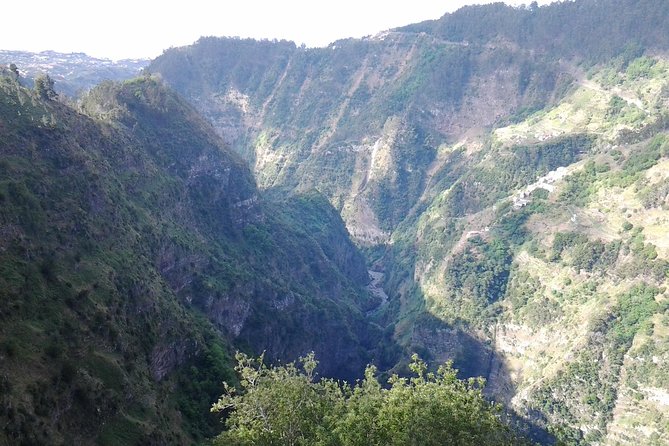 Madeira Pack 1 - Santana + Porto Moniz+ Curral das Freiras - Price and value: what $131.06 covers in real-world terms