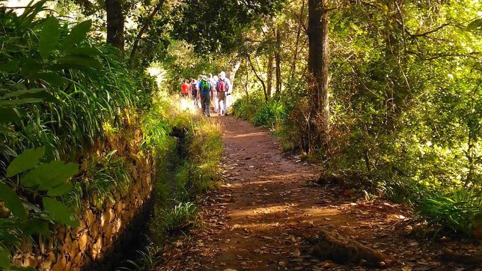 Madeira: Paradise Valley Levada Walk - Key things that make this walk special