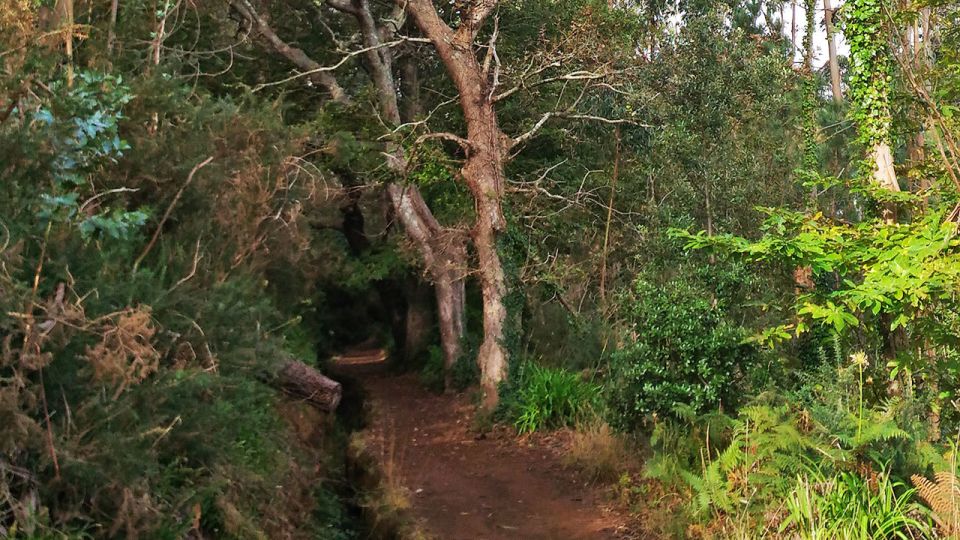 Madeira: Paradise Valley Levada Walk - Price and value: is $38 good for what you get?