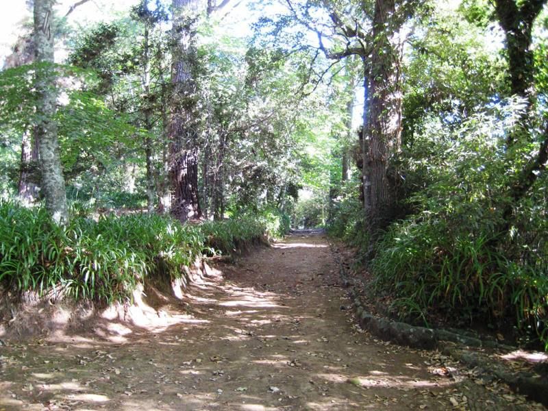 Madeira: Paradise Valley Levada Walk - Pacing, shoes, and the real-world “how hard is it?”