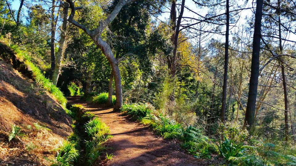 Madeira: Paradise Valley Levada Walk - The optional café stop and local fruit break