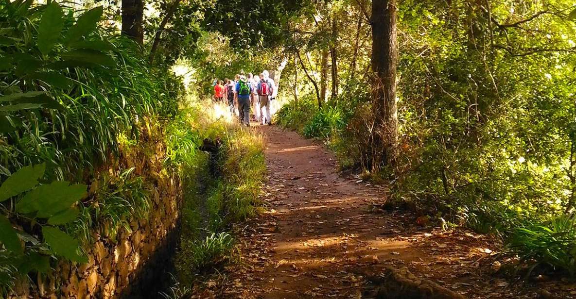 Madeira: Paradise Valley Levada Walk - Getting to the trailhead from Funchal (and beyond)