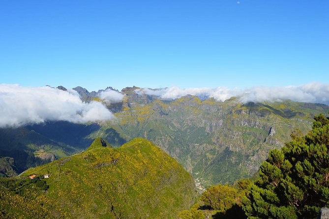 Madeira Peaks - Mountain Walk - From Funchal to the peaks: how this mountain day really works
