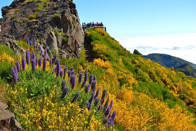 Madeira Peaks - Mountain Walk - Stop 3: Vereda do Pico Ruivo and the ancient heather forest approach