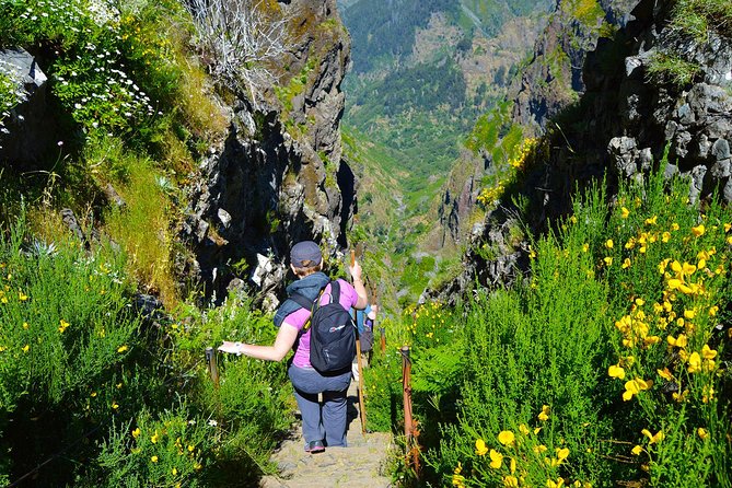 Madeira Peaks - Mountain Walk - Pace, photos, and why timing can feel strict
