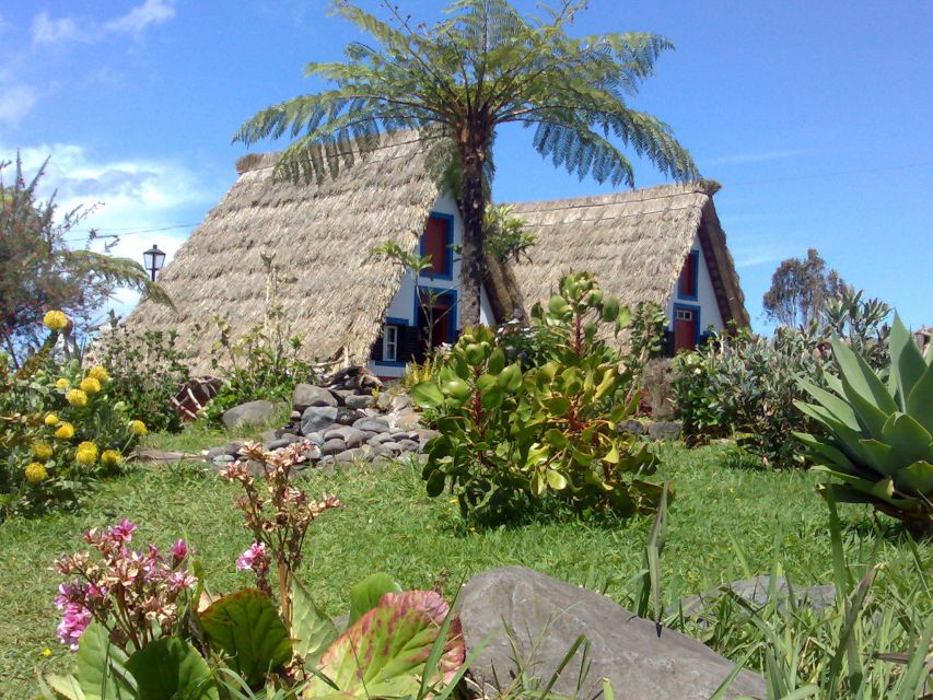 Madeira: Pico do Arieiro & Laurissilva Forest - East tour - East Madeira in One Day: Big Views, Real Towns