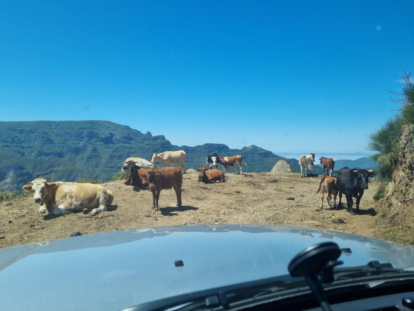 Madeira: Picturesque Peaks and Skywalk private 4x4 Jeep tour - Half-day Jeep route from Funchal to the interior and back