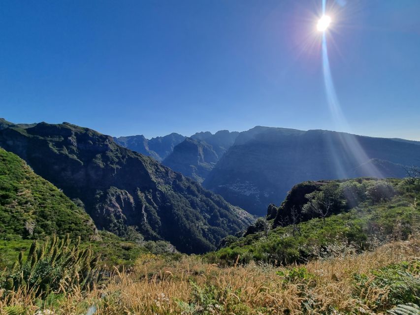 Madeira: Picturesque Peaks and Skywalk private 4x4 Jeep tour - Should you book this Madeira 4x4 tour?