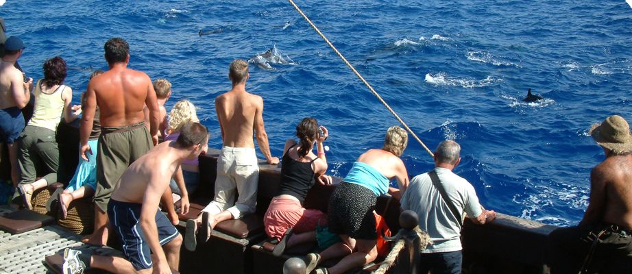 Madeira Pirate Ship: 3-Hour Boat Trip - Getting to Marina Funchal and settling in fast