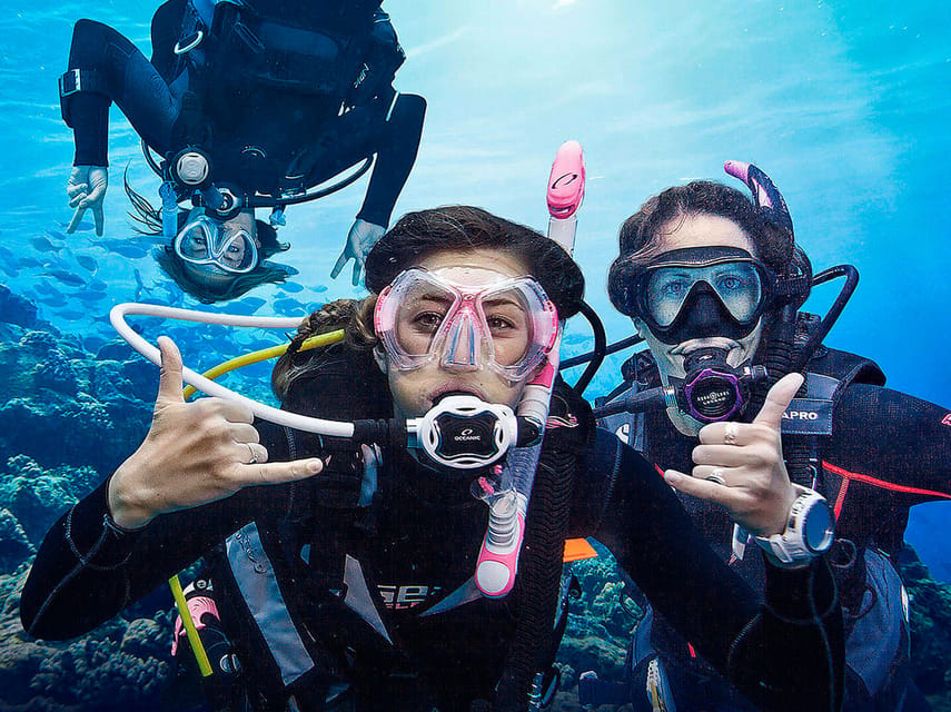 Madeira, Ponta São Lourenço: Scuba Diving for Beginners - Should you book this Madeira first scuba experience?