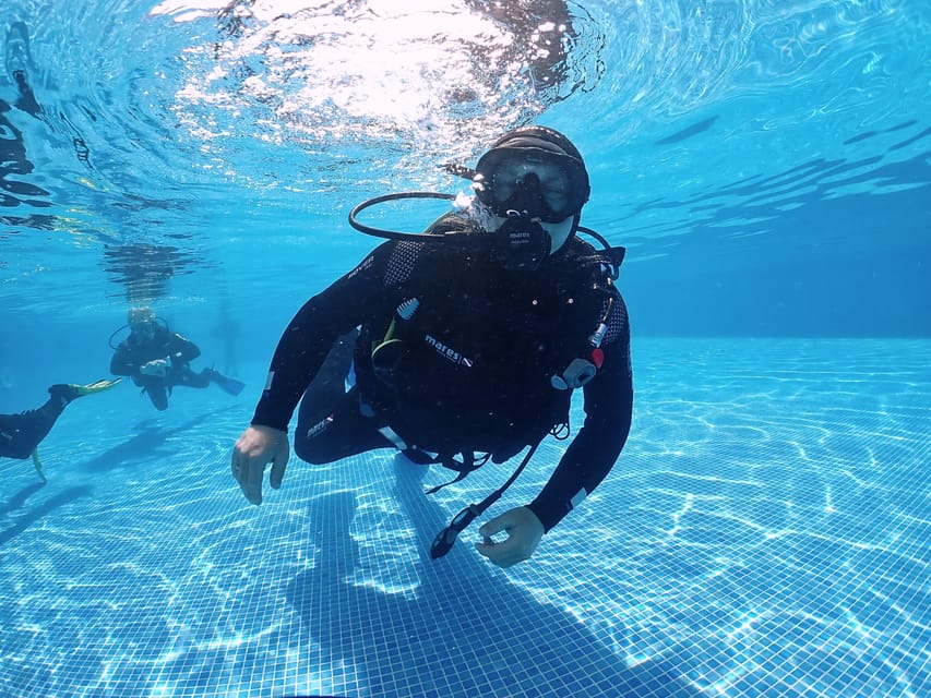 Madeira, Ponta São Lourenço: Scuba Diving for Beginners - Price and value: $53 for a full beginner workflow