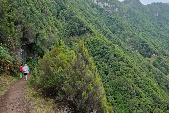 Madeira Porto da Cruz to Machico Self Hiking Tour with Transfer - What to bring: water and snacks are on you