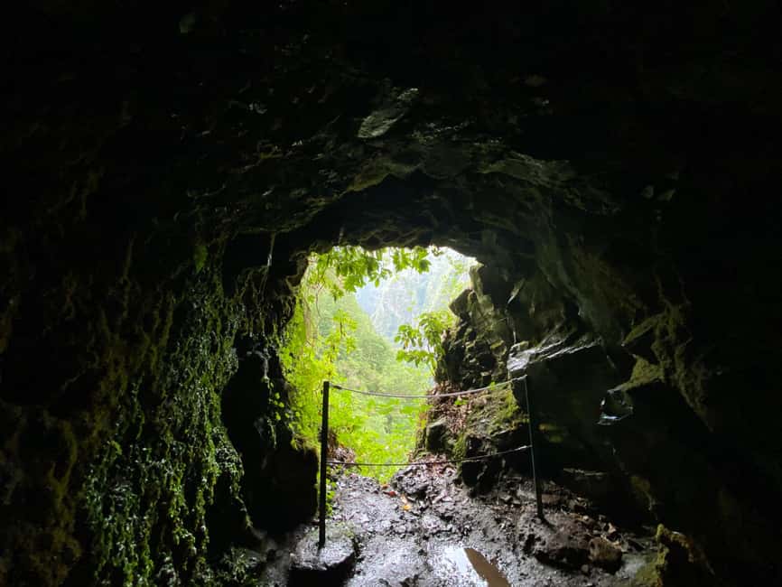 Madeira: PR 9 - Levada do Caldeirão Verde Hike Transfer - Quick Take: What makes this PR9 day work so well