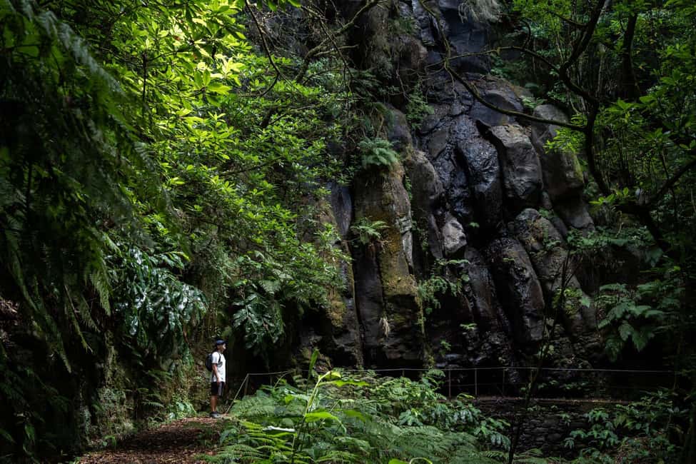 Madeira: PR 9 - Levada do Caldeirão Verde Hike Transfer - Pico das Pedras area: your “warm-up” before PR9 proper (PR9.1)