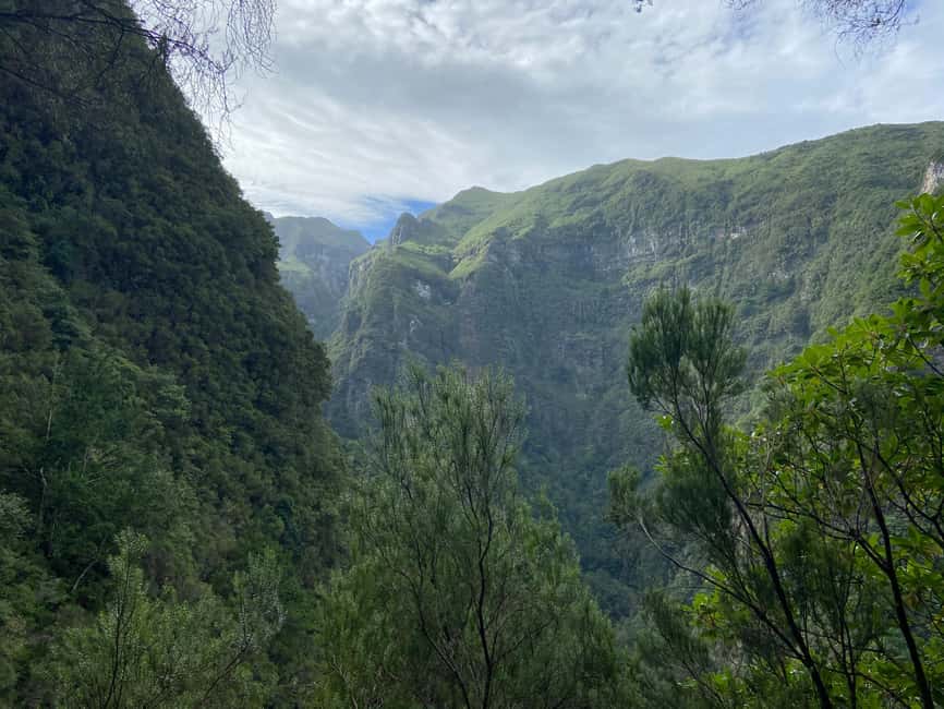 Madeira: PR 9 - Levada do Caldeirão Verde Hike Transfer - The Laurissilva Forest on PR9: levada walking at a steady tempo
