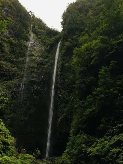 Madeira: PR 9 - Levada do Caldeirão Verde Hike Transfer - Tunnels, narrow ledges, and the moment you realize a head torch helps
