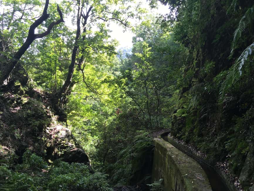 Madeira: PR 9 - Levada do Caldeirão Verde Hike Transfer - Price and value: $47 isn’t just transport, it’s the day organized