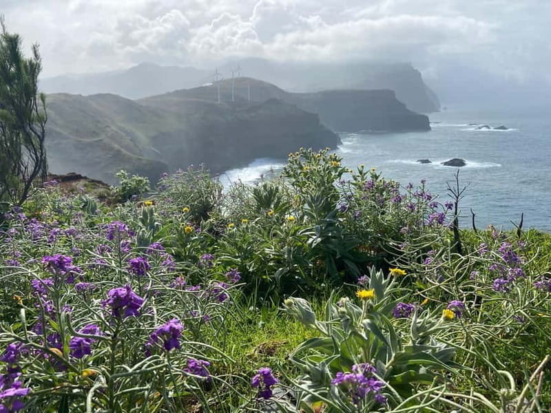 Madeira: PR8 -Ponta de São Lourenço Natural Reserve Transfer - Desembarcadouro, Farol Islets, and the wildlife game plan