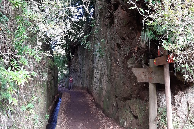 Madeira: Private 1.5-Kilometer Levada dos Balcões Hike PR11 - Optional lunch after the hike: how to plan without overspending