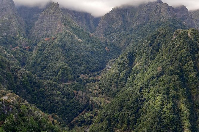 Madeira: Private 1.5-Kilometer Levada dos Balcões Hike PR11 - Price and value: does $96.02 per person make sense?