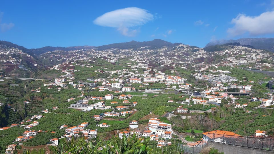 Madeira: Private Banana Farm Tour with Pickup - Private tour timing: how 2.5 hours can feel full