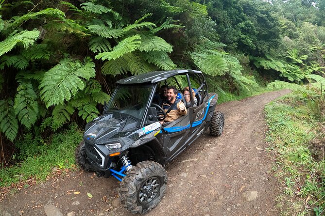 Madeira Private Buggy Adventure: Forest and Mountains - Polaris RZR XP 1000: what you’re really signing up for