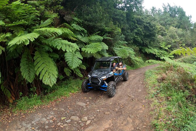 Madeira Private Buggy Adventure: Forest and Mountains - How mountain driving works on a private buggy tour