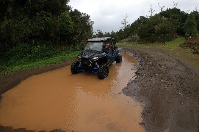 Madeira Private Buggy Adventure: Forest and Mountains - Stop-by-stop: what happens during the Laurissilva portion