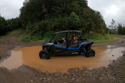 Madeira Private Buggy Adventure: Forest and Mountains - What the guide adds: Roberto-style coaching and local tips