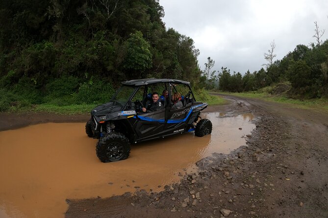 Madeira Private Buggy Adventure: Forest and Mountains - GoPro photos and videos: how to stop worrying about your camera