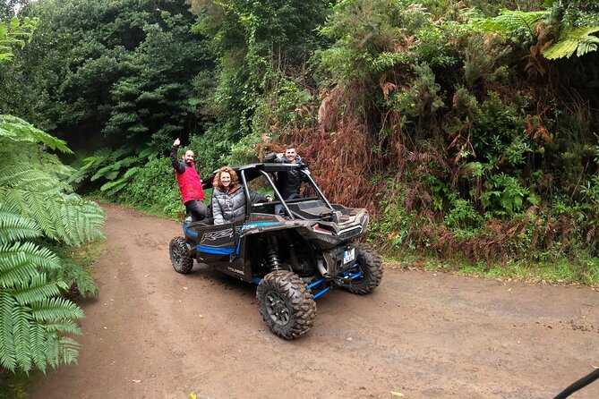Madeira Private Buggy Adventure: Forest and Mountains - Price and value: why $111.02 can make sense here