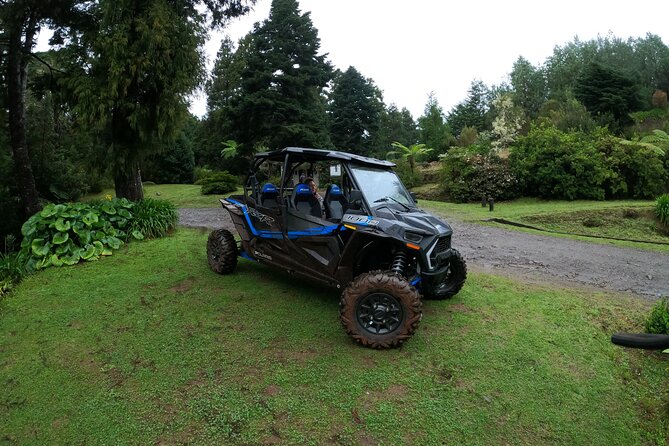 Madeira Private Buggy Adventure: Forest and Mountains - Weather matters: what good conditions mean for this kind of drive