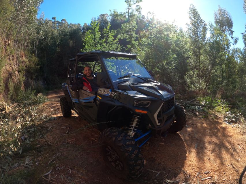 Madeira Private Buggy Adventure: Mountains and Forests - Key Points You’ll Care About