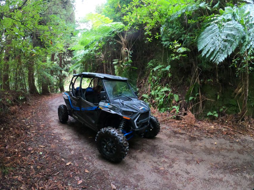Madeira Private Buggy Adventure: Mountains and Forests - Who Should Book This (and Who Should Sit This One Out)