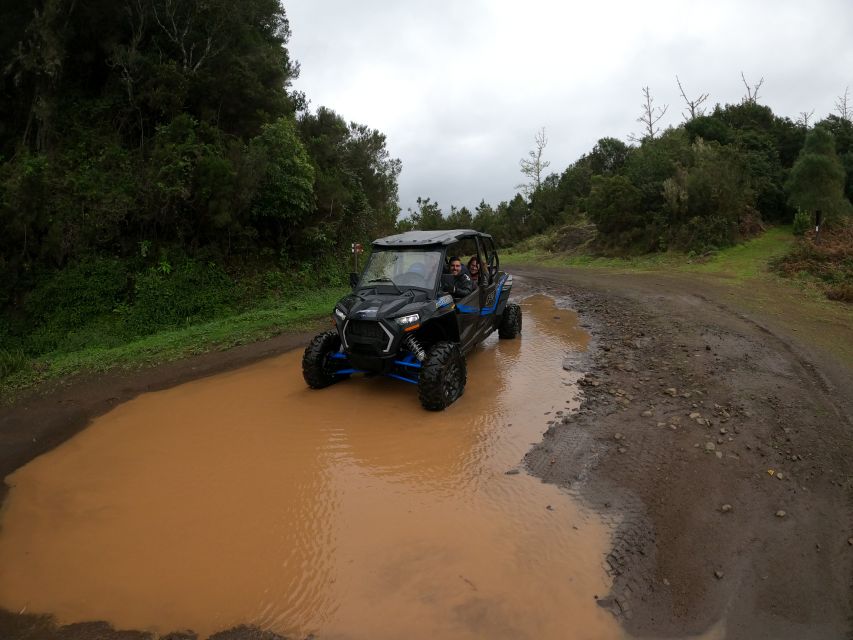 Madeira Private Buggy Adventure: Mountains and Forests - Poiso to Pico do Suna and Lamaceiros Lagoon: The Scenery Changes Mode