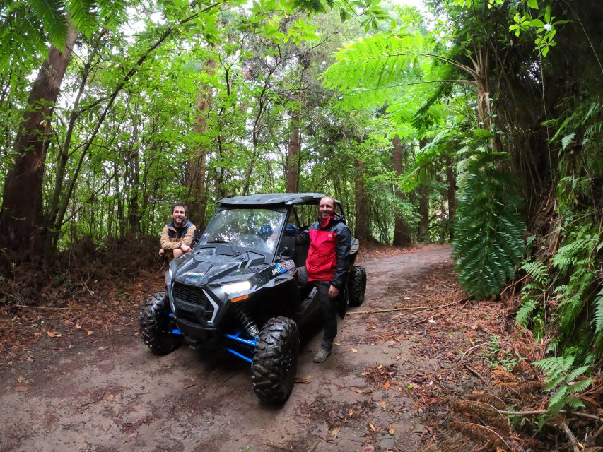 Madeira Private Buggy Adventure: Mountains and Forests - Serra das Funduras Road: Where You Can Hear the Forest Before You See It